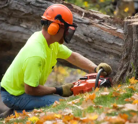 tree services Black Rock